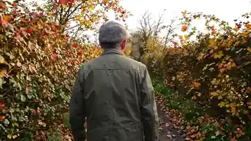 A man in a wool cap walking away along a country lane lined with a tall autumn hedgerow